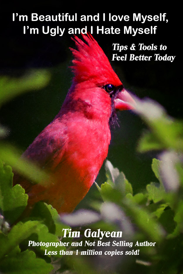 Feel better book, Beautiful, Ugly, Self Love, Hate,Myself,